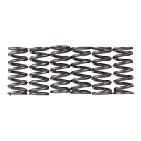 Premier Clutch Springs - Heavy Duty