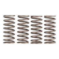 Premier Clutch Springs - Heavy Duty