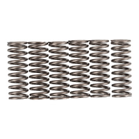 Premier Clutch Springs - Heavy Duty