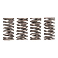 Premier Clutch Springs - Heavy Duty