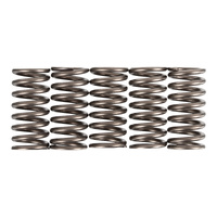 Premier Clutch Springs - Heavy Duty