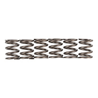 Premier Clutch Springs - Heavy Duty