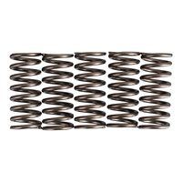 Premier Clutch Springs - Heavy Duty