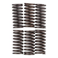 Premier Clutch Springs - Heavy Duty