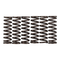 Premier Clutch Springs - Heavy Duty