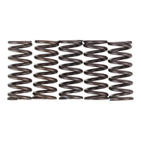 Premier Clutch Springs - Heavy Duty