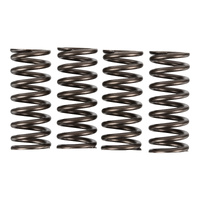 Premier Clutch Springs - Heavy Duty