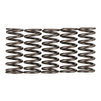 Premier Clutch Springs - Heavy Duty