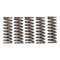 Premier Clutch Springs - Heavy Duty