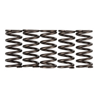 Premier Clutch Springs - Heavy Duty