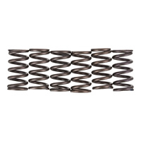 Premier Clutch Springs - Heavy Duty