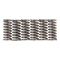 Premier Clutch Springs - Heavy Duty