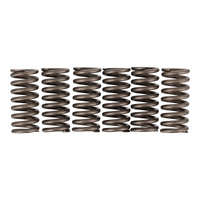 Premier Clutch Springs - Heavy Duty