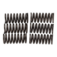 Premier Clutch Springs - Heavy Duty