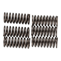 Premier Clutch Springs - Heavy Duty