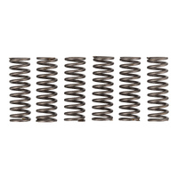 Premier Clutch Springs - Heavy Duty