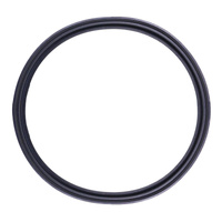 Quantum Fuel Pump Seal Gasket