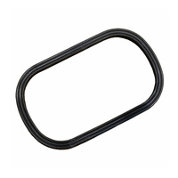 Quantum Fuel Pump Tank Seal Gasket