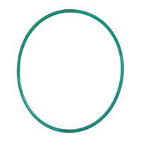 Quantum Fuel Pump Seal Gasket