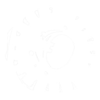 STATOR YAM XVS650 V-STAR CUSTOM 2004-2016 (RMS010-103240)