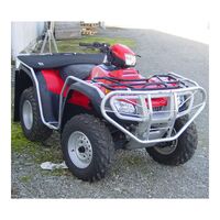SMITH BULLBARS TRX500FA/FM 05-11 - INDENT