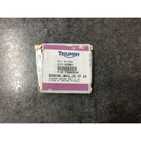 Triumph Front Wheel Bearing Thunderbird T3800096