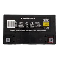 USPS AGM Battery - US16CL