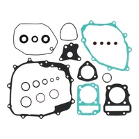 Complete Gasket Set with Oil Seals 8110043