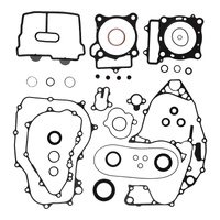 Complete Gasket Set with Oil Seals 8110050