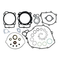 Complete Gasket Set with Oil Seals 8110065