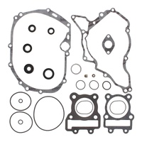 Vertex Complete Gasket Set with Oil Seals (811415)