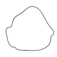 Outer Clutch Gasket Kit 817987