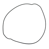 Outer Clutch Gasket Kit 819047