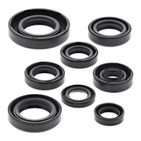 Oil Seal Kit 822181