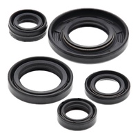 Oil Seal Kit 822240