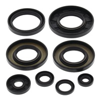 Oil Seal Kit 822349