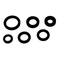 Oil Seal Kit 822367