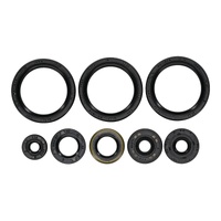 Oil Seal Kit 822403