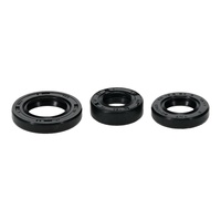 Oil Seal Kit 822999