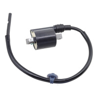 WMP Ignition Coil - Honda