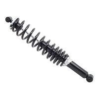 WMP Shock Absorbers Can-Am Rear - One Side Only