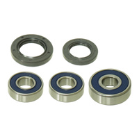 WMP Wheel Bearing Kit - Rear