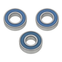 WMP Wheel Bearing Kit - Rear